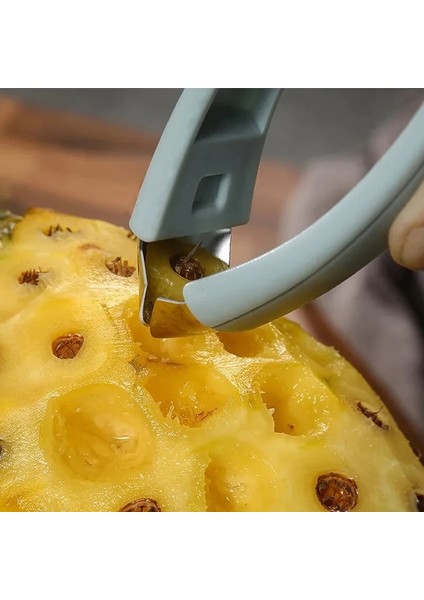 Qyq Pembe Özel Göz Oyucu Paslanmaz Çelik Göz Oyma Klipsi Çok Fonksiyonlu Çekirdeksiz Ananas Soyucu Delik Kazma Pedicel Çıkarma Aracı (Yurt Dışından) fiyatları