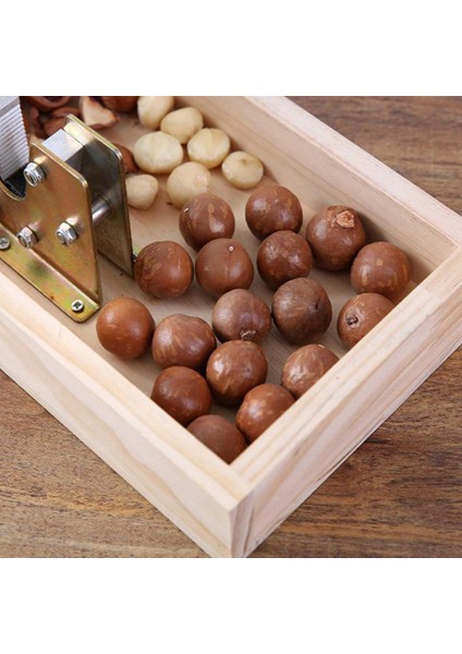 D Paslanmaz Macadamia Açacağı Çok Amaçlı Dayanıklı Maşa Ceviz Aracı Kaymaz Metal Mutfak Saplı Fındık Kraker Soyma Makinesi (Yurt Dışından) indirimleri