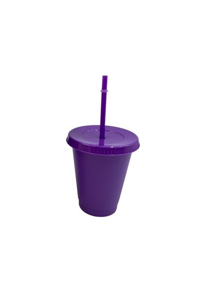 Şeffaf 401-500ML 473ML 480ML 500ML 16OZ Boş Düz Plastik Bardak Soğuk Bardak Soğuk Içecek Pipetli Bardak ve Kapaklı (Yurt Dışından)