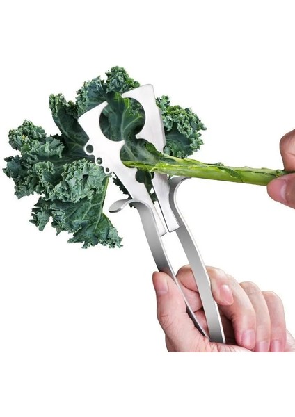 Herb Chopper Yeşiller Striptizci Salata Chopper Mutfak Herb Yaprak Sıyırma Aracı Mutfak Için Soyucular (Yurt Dışından)
