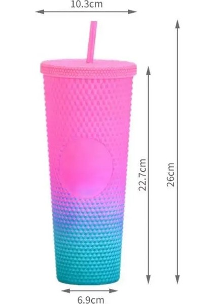 04 710ML 710ML Yaz Soğuk Su Bardağı Samanlı Bardak Çift Katmanlı Kahve Fincanı Yaz Tatili Soğuk Su Kupa Plastik Durian Kahve Kupa (Yurt Dışından)