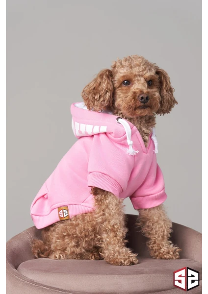 Köpek Elbisesi, Köpek Hoodie, Pembe Magnet, Küçük Irk Köpekler