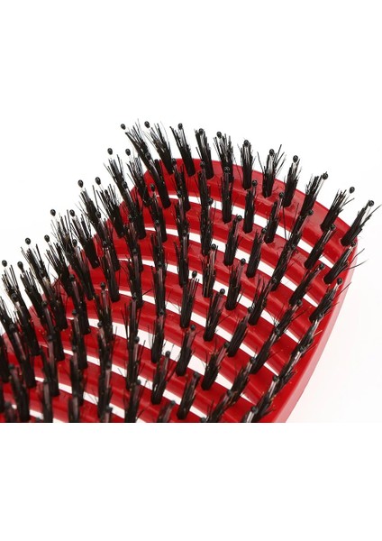 Kızıl Saç Tarak Saç Derisi Masaj Tarak Saç Fırçası Kıl ve Naylon Kadın Islak Kıvırcık Detangle Saç Fırçası Salon Kuaförlük Şekillendirici Araçları (Yurt Dışından) fırsatları