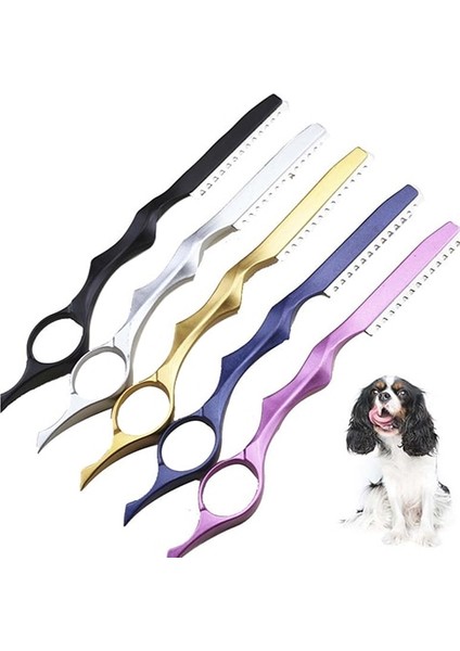 Mavi Inceltme Makası Berber Jilet Tüy Alma Bakım Kuaförlük Kuaför Salonu (Yurt Dışından) fiyatları