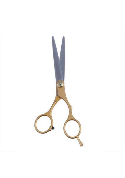 Altın Diş Makas Profesyonel Altın 6.0 Inç Paslanmaz Çelik Berber Saç Kesme Inceltme Makas Makas Kuaförlük Seti Saç Makas (Yurt Dışından) fırsatları