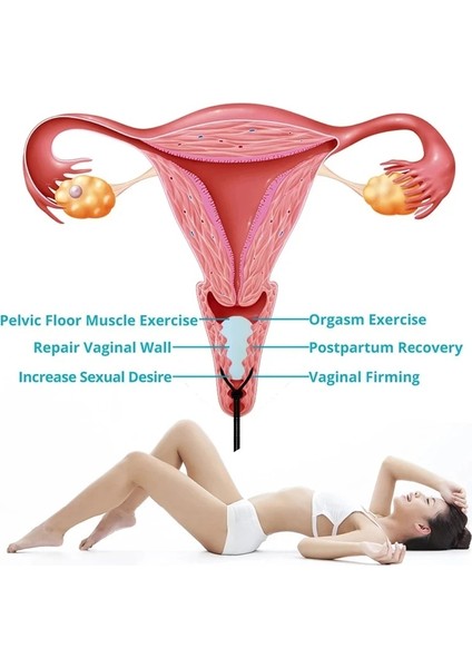Tip 1 Opalite Yoni Yumurta Yeşim Vajinal Top Seti Doğal Taş Yumurta Yoni Masaj Değnek Kadın Kegel Egzersiz Vajinal Kas Sıkın Egzersiz (Yurt Dışından)