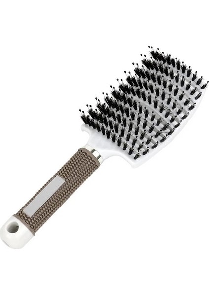 3 Saç Fırçası Saç Derisi Masaj Tarak Saç Fırçası Kıl ve Naylon Kadın Islak Kıvırcık Detangle Saç Fırçası Salon Kuaförlük Şekillendirici Araçları (Yurt Dışından)