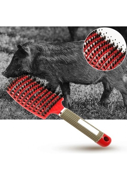 3 Saç Fırçası Saç Derisi Masaj Tarak Saç Fırçası Kıl ve Naylon Kadın Islak Kıvırcık Detangle Saç Fırçası Salon Kuaförlük Şekillendirici Araçları (Yurt Dışından) modelleri