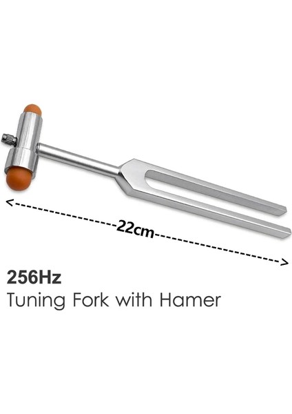 Deluxe Çekiç Kırmızı Tıbbi Nörolojik Refleks Taylor Wartenburg Fırıldak Babinski Ergonomik Çekiç Kaliper Ölçekli Perküsyon Buck Vurmalı Çekiç (Yurt Dışından)