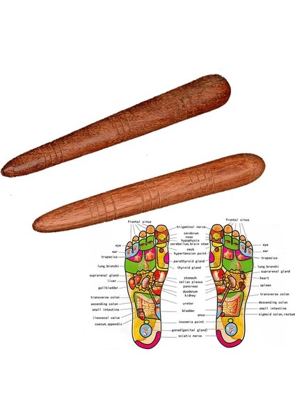 1 Adet Ahşap Ayak Spa Fizyoterapi Refleksoloji Akupunktur Tay Ayak Masajı Sağlık Tablosu Ücretsiz Masaj Sopası Aracı (Yurt Dışından)