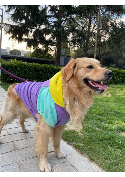 Köpek Kıyafeti, Orta Ve Büyük Irk Köpek Hoodie, Positive 15-30kg