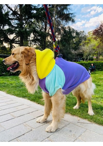 Köpek Kıyafeti, Orta Ve Büyük Irk Köpek Hoodie, Positive 15-30kg