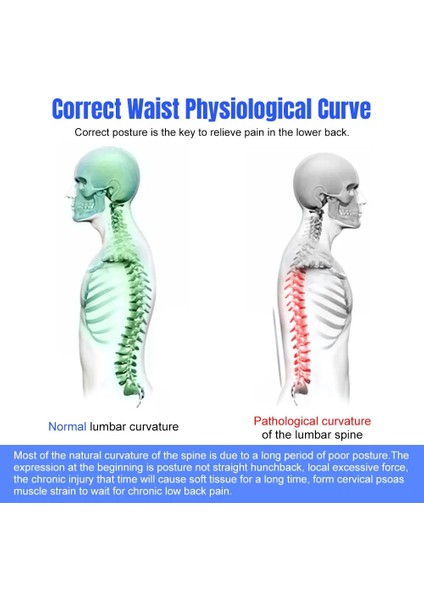 3 Seviyeli Ayarlama Sırt Germe Masajı Çok Seviyeli Bel Omurga Desteği Sedyesi Alt ve Üst Sırt Kas Ağrısının Giderilmesi Için (Yurt Dışından) indirimleri