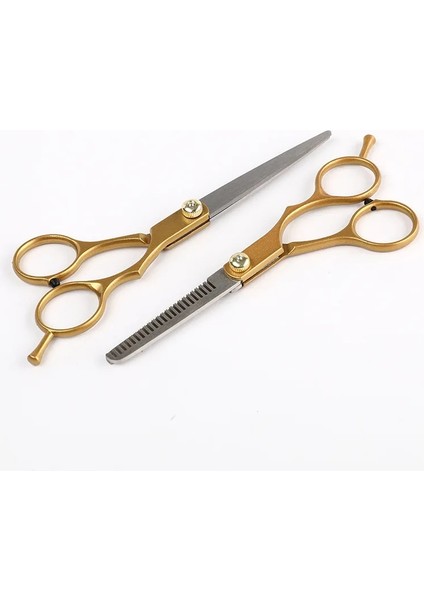 Diş Makas Altın Profesyonel 6.0 Inç Paslanmaz Çelik Berber Saç Kesme Inceltme Makas Makas Kuaförlük Seti (Yurt Dışından) fırsatları