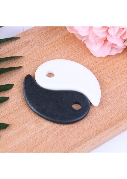 Danlu Guasha Masaj Aleti (Yurt Dışından) fiyatları