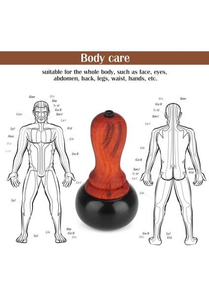 Yüz Masajı Abd Tak Sıcak Bian Taş Elektrikli Gua Sha Masajı Sırt Boyun Yüz Guasha Kazıma Aracı Yakı Tarama Meridyen Fizyoterapi Relax (Yurt Dışından) modelleri