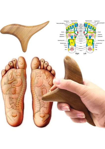 Ahşap Ahşap Tetik Noktası Masajı Gua Sha Araçları Profesyonel Lenfatik Drenaj Aracı Ahşap Terapi Masaj Aletleri Sırt Boyun Bacak El Için (Yurt Dışından)