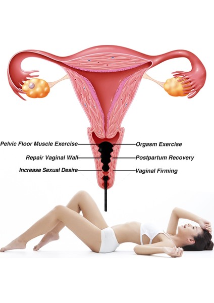 Gül Kuvars Seti Gül Kuvars Yoni Yumurta Seti Doğal Obsidyen Yeşim Yumurta Yoni Değnek Yeşim Masaj Vajinal Kaslar Sıkma Topu Kristal Kegel Yumurta (Yurt Dışından) fırsatları