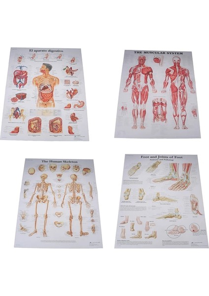 8 Hastane Masaj Haritası Insan Anatomisi Kas Sistemi Sanat Posterleri Baskı Vücut Haritası Ipek Boyama Duvar Resimleri Tıp Eğitimi Için (Yurt Dışından)