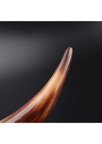 Danlu Gua Sha Spa Masaj Taşı - Kahverengi (Yurt Dışından) indirimleri