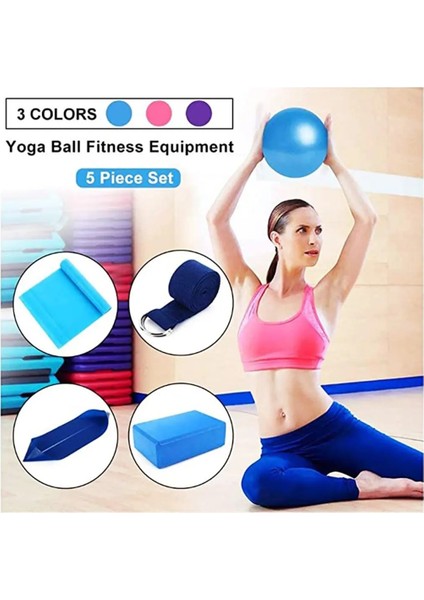 Mor Pratik Spor Yoga Topları Pilates Fitness Salonu Denge Fitball Egzersiz Pilates Egzersiz Masaj Topu (Yurt Dışından) fiyatları