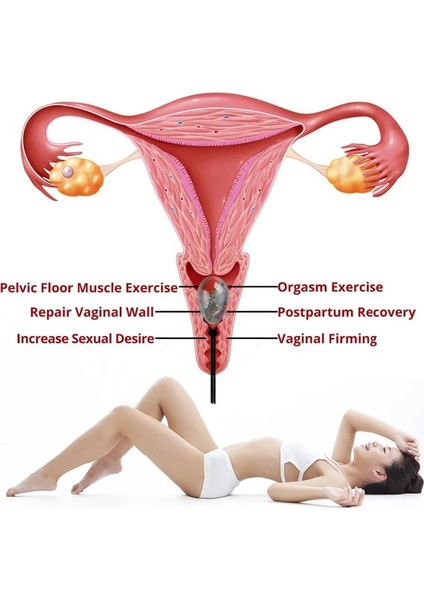 Kutu ile 3 Yumurta 3 Adet/takım Doğal Malzeme Yoni Yumurta Kadın Kegel Egzersiz Yeşim Yumurta Vajinal Kas Sıkma Kegel Yumurta Hijyen Bakımı Ben Wa Topu (Yurt Dışından)