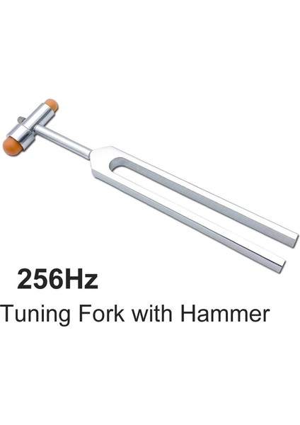 256Hz Çatal Çekiç Nörolojik Tıbbi Refleks Taylor Wartenburg Fırıldak Babinski Ergonomik Kumpas Terazi Perküsyon Buck Vurmalı Çekiç Aracı (Yurt Dışından)