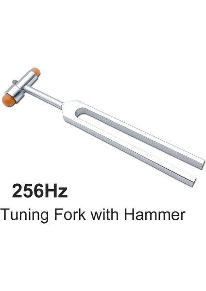 256Hz Çatal Çekiç Nörolojik Tıbbi Refleks Taylor Wartenburg Fırıldak Babinski Ergonomik Kumpas Terazi Perküsyon Buck Vurmalı Çekiç Aracı (Yurt Dışından)