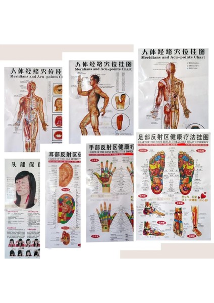 66 cm x 47 cm 3 Adet Ingilizce El Ayak Kulak Vücut Yansıtıcı Bölgeler Meridyen Noktaları Insan Duvar Tablosu Kadın/erkek Akupunktur Masaj Haritası Flipchart (Yurt Dışından)