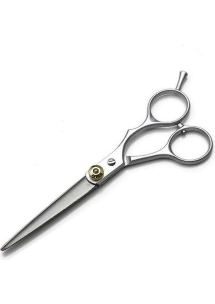 Gold1 Altın Profesyonel 6.0 Inç Paslanmaz Çelik Kuaför Saç Kesme Inceltme Makas Makas Kuaförlük Seti (Yurt Dışından) indirimleri