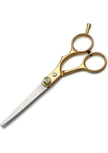Gold1 Altın Profesyonel 6.0 Inç Paslanmaz Çelik Kuaför Saç Kesme Inceltme Makas Makas Kuaförlük Seti (Yurt Dışından)