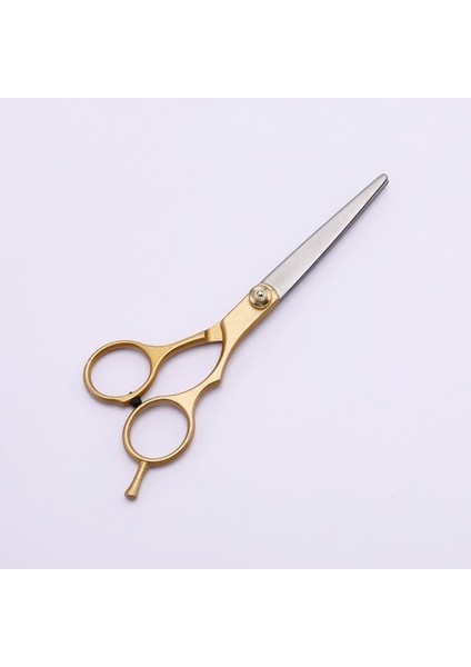 Siyah-A Altın Profesyonel 6.0 Inç Paslanmaz Çelik Kuaför Saç Kesme Inceltme Makas Makas Kuaförlük Seti (Yurt Dışından) modelleri