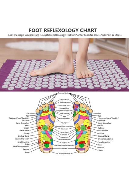 Yastık Getinfit Akupunktur Masaj Minderi Masaj Yoga Mat Pilates Egzersiz Yastığı Tırnak Mat Yoga Vücut Ağrısını Rahatlatmak (Yurt Dışından) indirimleri