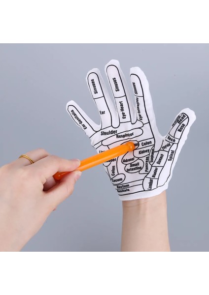 Set 4 Ayak Masajı Akupunktur Çorapları ve Eldivenleri Fizyoterapi Masajı Yorgun Ayakları Rahatlatır Refleksoloji Çorapları Ayak Noktası Çorapları Sağlık (Yurt Dışından)