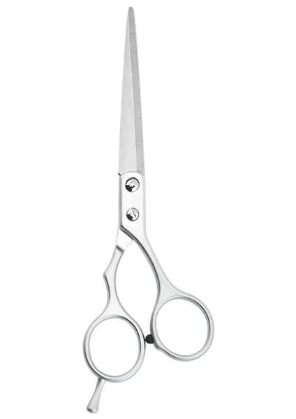 Düz Makas 6.5 Inç Saç Makas Inceltme Berber Kesme Profesyonel Saç Makası Makas Araçları Paslanmaz Çelik Kuaförlük Makas 1 Adet (Yurt Dışından)