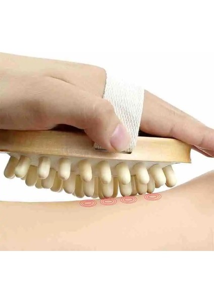 Beyaz Vücut Anti Selülit Fırça Yatıştırıcı Ahşap Esansiyel Yağı Spa Hava Yastığı Masaj Saç Tarak Saç Derisi Masaj Fırçası Ölü Cilt Sökücü (Yurt Dışından) fiyatları