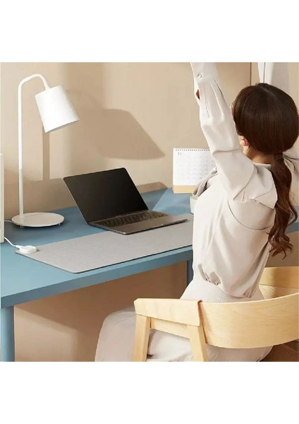 60X36 cm Ab Tak Elektrikli Isı Mouse Pad Masa Mat Ekran Sıcaklık Isıtma Mouse Pad Ofis Bilgisayar Masası Klavye Için Sıcak El Tutmak 60X36 cm (Yurt Dışından)