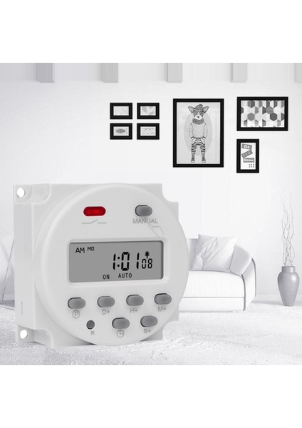 CN101S 1 Ikinci Aralık 5V 12V 24V 110V 220V Dijital Zamanlayıcı Anahtarı Programlanabilir Zaman Rölesi Programcısı Yepyeni ve Kaliteli (Yurt Dışından)