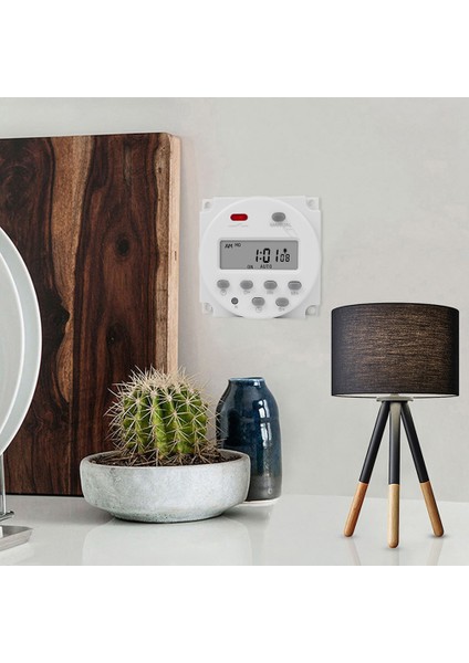 CN101S 1 Ikinci Aralık 5V 12V 24V 110V 220V Dijital Zamanlayıcı Anahtarı Programlanabilir Zaman Rölesi Programcısı Yepyeni ve Kaliteli (Yurt Dışından) fiyatları