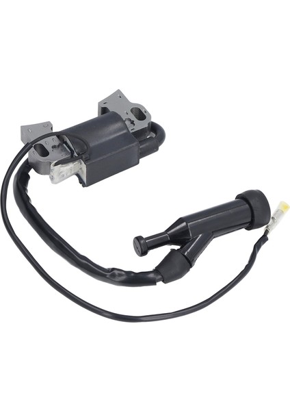 Benzinli Motor Ateşleme Bobini 5kw 8kw Jeneratör Yakıtının Değiştirilmesi (Yurt Dışından) indirimleri