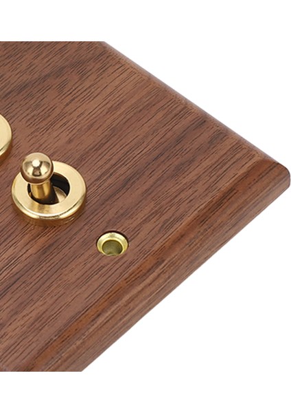 Çift Geçiş Anahtarı Çevre Dostu 50HZ Deformasyona Dayanıklı Zararsız Geçiş Anahtarı Paneli Ev Için Iyi Sertlik (Yurt Dışından) fiyatları