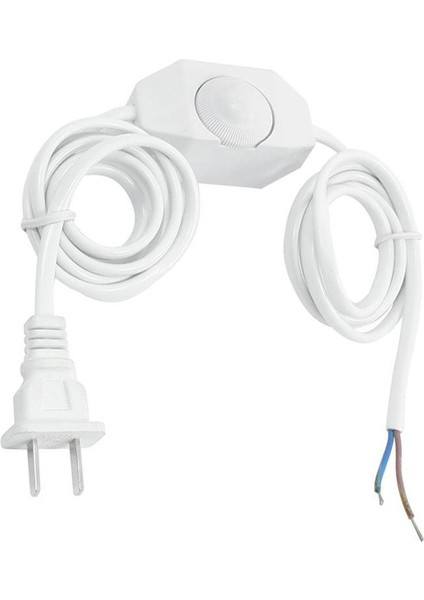 Beyaz Lamba Güç Kablosu ve Dimmer Anahtarı Ac 250V/110V Abd Fişi (Yurt Dışından) modelleri