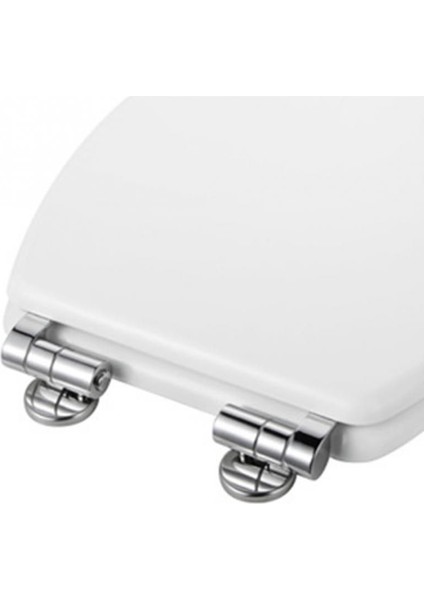 Alaşımlı Klozet Menteşeleri Bağlantı Parçaları Vidalı Krom Set (Yurt Dışından) fiyatları