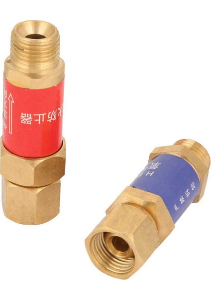 Ev Için Oksijen Tutucu Çek Valf Mpa (Yurt Dışından)