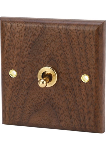 250V'LUK Bir Elektrik Prizine Sahip Bir Elektrik Prizi Veya Elektrik Prizi Var. ٹنگ کے لیے (Yurt Dışından) indirimleri