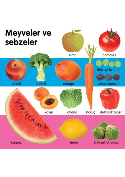 İlk 1000 Sözcük