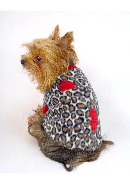 Animal Leo Print Sweat Red Sweat Köpek Kazağı Köpek Poları