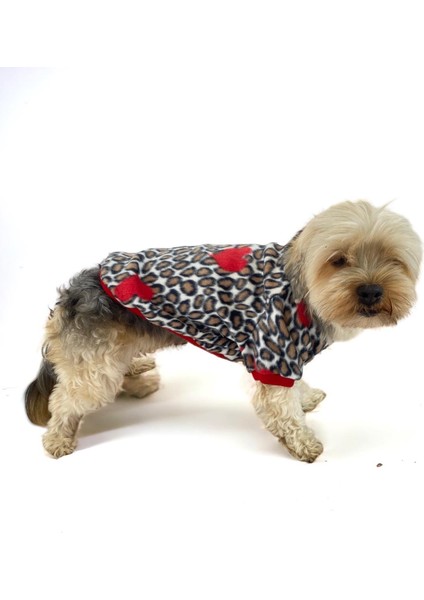 Animal Leo Print Sweat Red Sweat Köpek Kazağı Köpek Poları