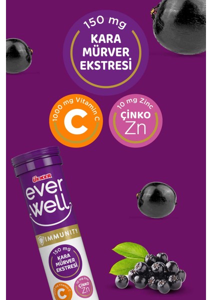 Everwell 3'lü Paket modelleri