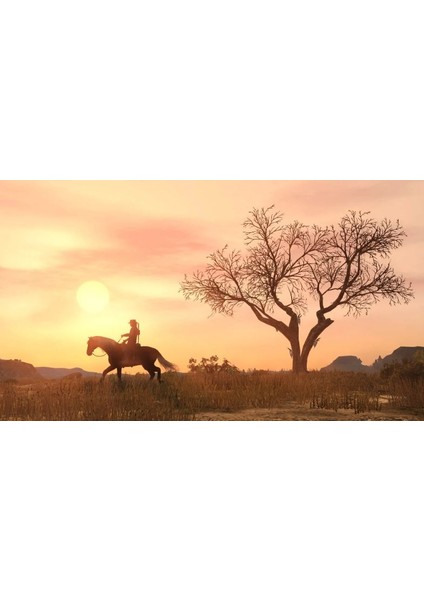 Rockstar Ps4 Red Dead Redemption modelleri